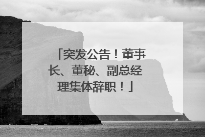 突发公告！董事长、董秘、副总经理集体辞职！