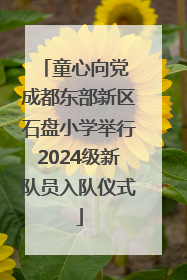 童心向党 成都东部新区石盘小学举行2024级新队员入队仪式