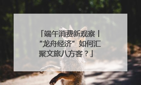 端午消费新观察丨“龙舟经济”如何汇聚文旅八方客？
