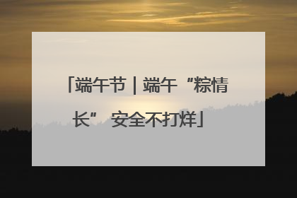 端午节｜端午“粽情长” 安全不打烊