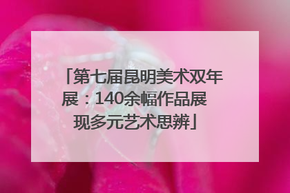 第七届昆明美术双年展：140余幅作品展现多元艺术思辨