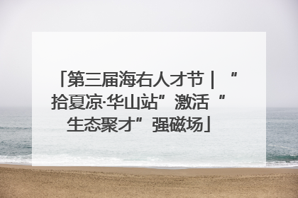 第三届海右人才节｜“拾夏凉·华山站”激活“生态聚才”强磁场