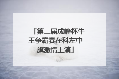 第二届成峰杯牛王争霸赛在科左中旗激情上演