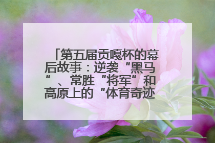 第五届贡嘎杯的幕后故事：逆袭“黑马”、常胜“将军”和高原上的“体育奇迹”丨微纪录