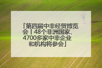 第四届中非经贸博览会丨48个非洲国家、4700多家中非企业和机构将参会