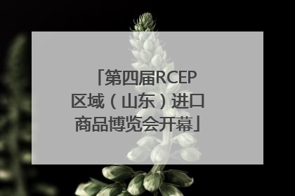第四届RCEP区域（山东）进口商品博览会开幕