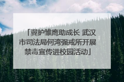 翼护雏鹰助成长 武汉市司法局何湾强戒所开展禁毒宣传进校园活动