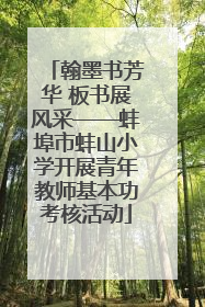 翰墨书芳华 板书展风采——蚌埠市蚌山小学开展青年教师基本功考核活动