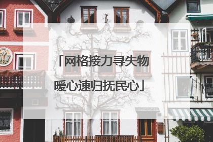 网格接力寻失物 暖心速归抚民心
