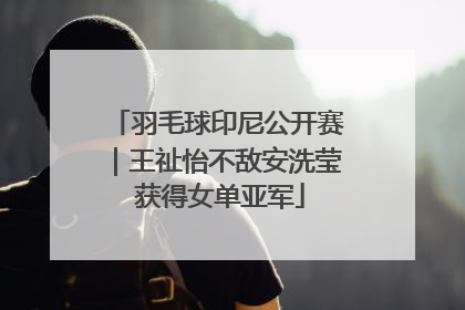 羽毛球印尼公开赛｜王祉怡不敌安洗莹 获得女单亚军