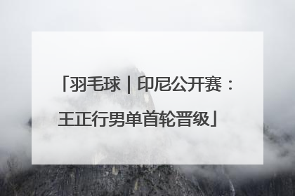 羽毛球｜印尼公开赛：王正行男单首轮晋级