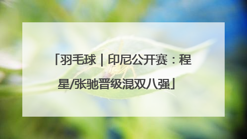 羽毛球｜印尼公开赛：程星/张驰晋级混双八强