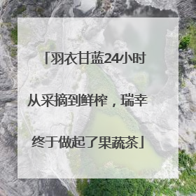 羽衣甘蓝24小时从采摘到鲜榨，瑞幸终于做起了果蔬茶