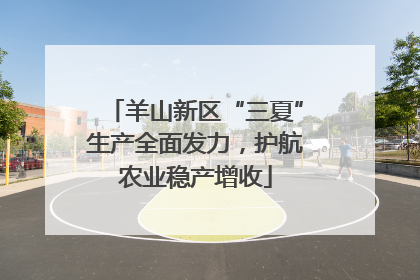 羊山新区“三夏”生产全面发力，护航农业稳产增收