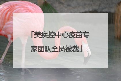 美疾控中心疫苗专家团队全员被裁