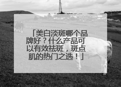 美白淡斑哪个品牌好？什么产品可以有效祛斑，斑点肌的热门之选！
