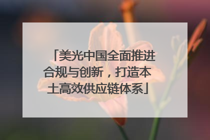 美光中国全面推进合规与创新，打造本土高效供应链体系