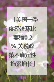美国一季度经济环比萎缩0.2% 关税政策不确定性拖累增长