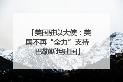 美国驻以大使：美国不再“全力”支持巴勒斯坦建国