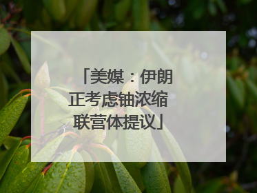 美媒：伊朗正考虑铀浓缩联营体提议
