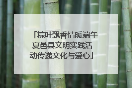 粽叶飘香情暖端午 夏邑县文明实践活动传递文化与爱心