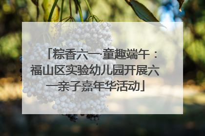 粽香六一·童趣端午：福山区实验幼儿园开展六一亲子嘉年华活动