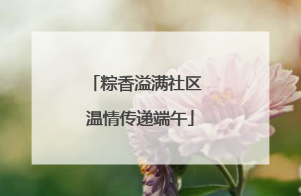 粽香溢满社区 温情传递端午
