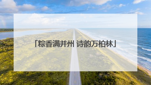 粽香满并州 诗韵万柏林