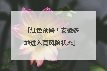 红色预警！安徽多地进入高风险状态