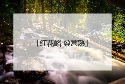 红花峪 桑葚熟