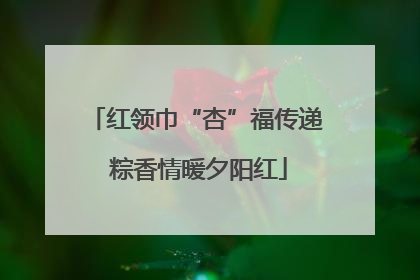 红领巾“杏”福传递 粽香情暖夕阳红