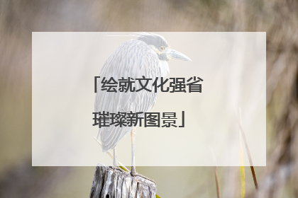 绘就文化强省璀璨新图景