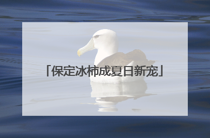 保定冰柿成夏日新宠