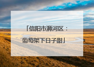 信阳市浉河区：葡萄架下日子甜
