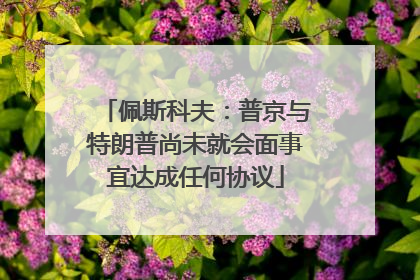 佩斯科夫：普京与特朗普尚未就会面事宜达成任何协议