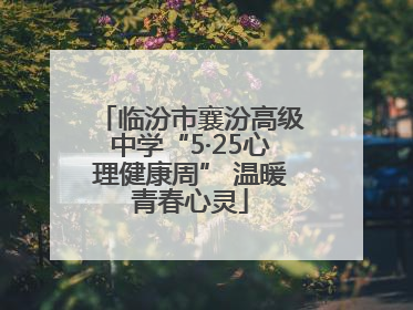 临汾市襄汾高级中学“5·25心理健康周” 温暖青春心灵