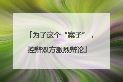 为了这个“案子”，控辩双方激烈辩论