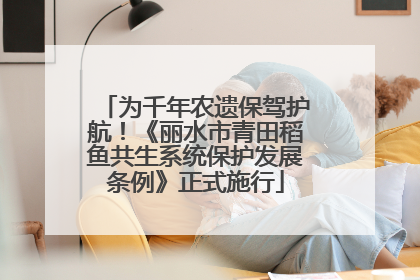 为千年农遗保驾护航！《丽水市青田稻鱼共生系统保护发展条例》正式施行