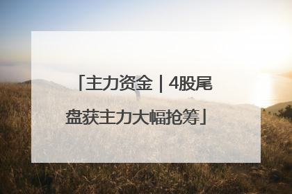 主力资金｜4股尾盘获主力大幅抢筹