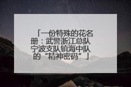 一份特殊的花名册：武警浙江总队宁波支队镇海中队的“精神密码”