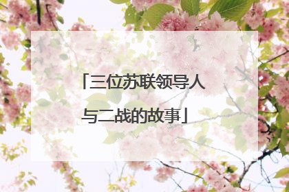 三位苏联领导人与二战的故事