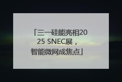 三一硅能亮相2025 SNEC展，智能微网成焦点