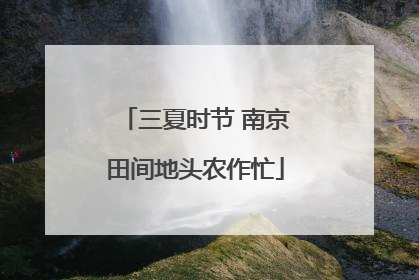三夏时节 南京田间地头农作忙