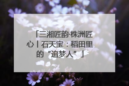 三湘匠韵·株洲匠心丨石天宝：稻田里的“追梦人”