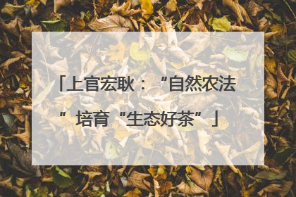 上官宏耿：“自然农法”培育“生态好茶”