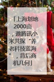 上海划地2000亩，邀腾讯小米共探“养老科技蓝海”，背后商机几何