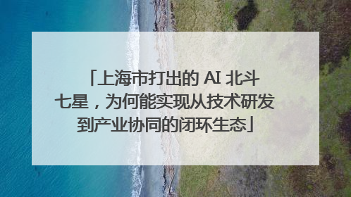 上海市打出的 AI 北斗七星，为何能实现从技术研发到产业协同的闭环生态