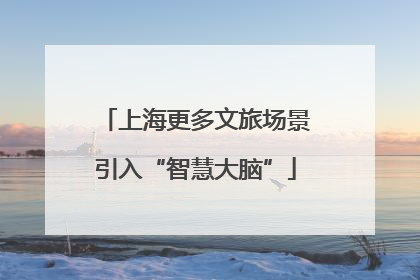 上海更多文旅场景引入“智慧大脑”
