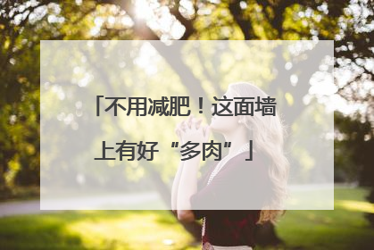 不用减肥！这面墙上有好“多肉”