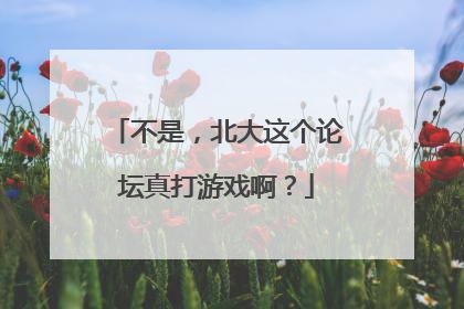 不是，北大这个论坛真打游戏啊？